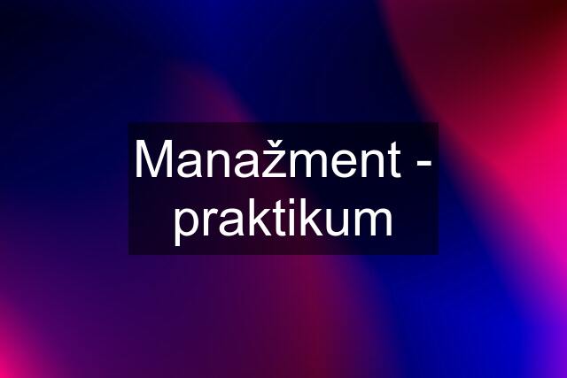 Manažment - praktikum