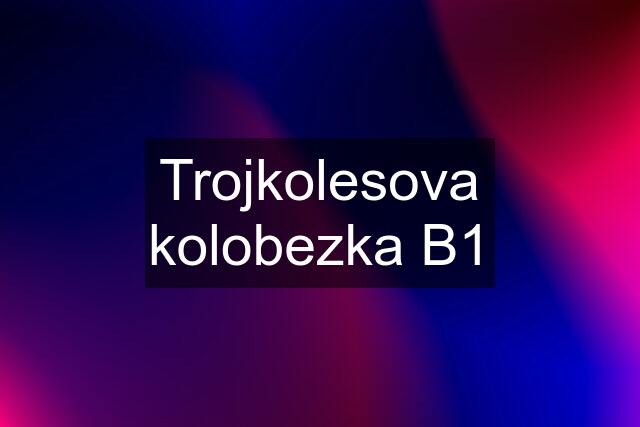 Trojkolesova kolobezka B1