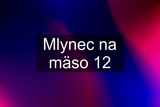 Mlynec na mäso 12