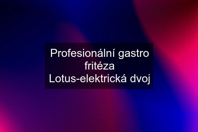Profesionální gastro fritéza Lotus-elektrická dvoj