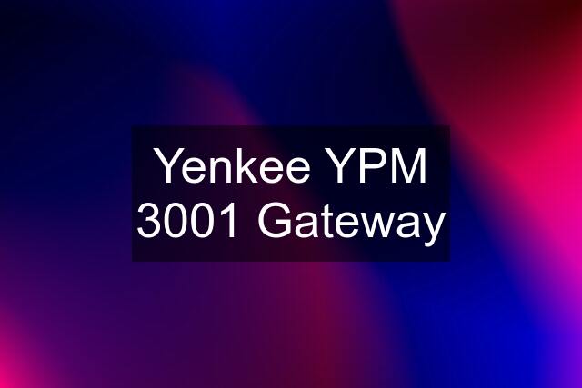 Yenkee YPM 3001 Gateway