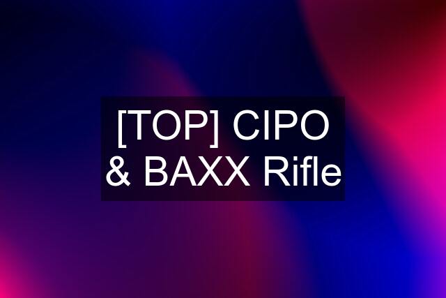 [TOP] CIPO & BAXX Rifle