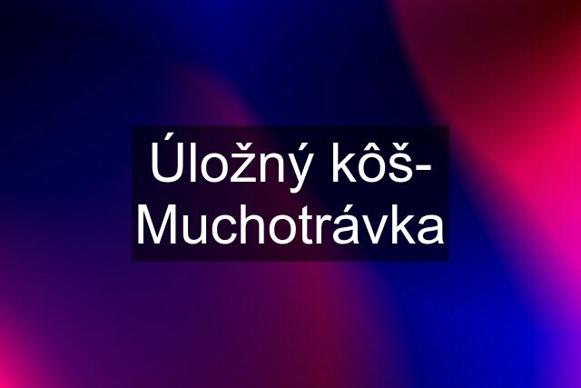 Úložný kôš- Muchotrávka