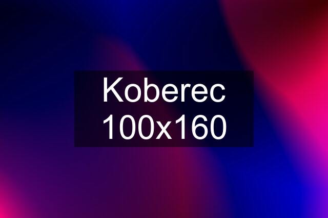 Koberec 100x160