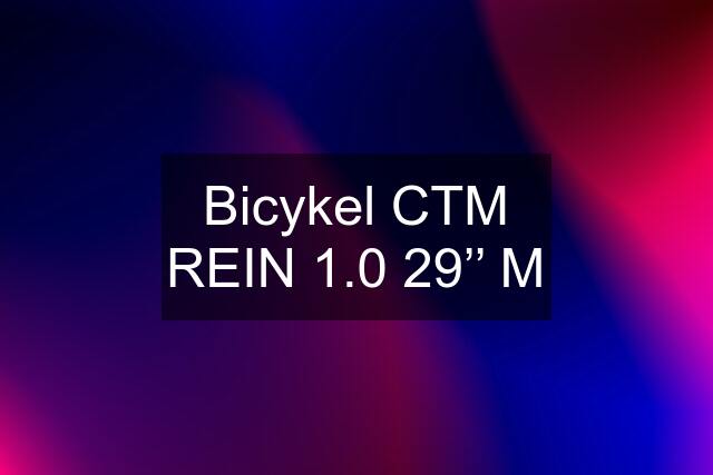 Bicykel CTM REIN 1.0 29’’ M