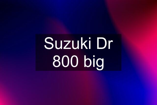 Suzuki Dr 800 big