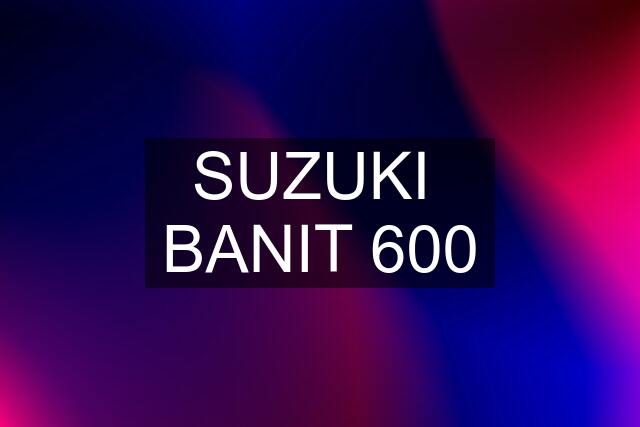 SUZUKI  BANIT 600