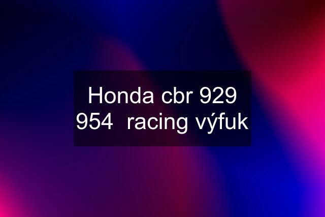 Honda cbr 929 954  racing výfuk