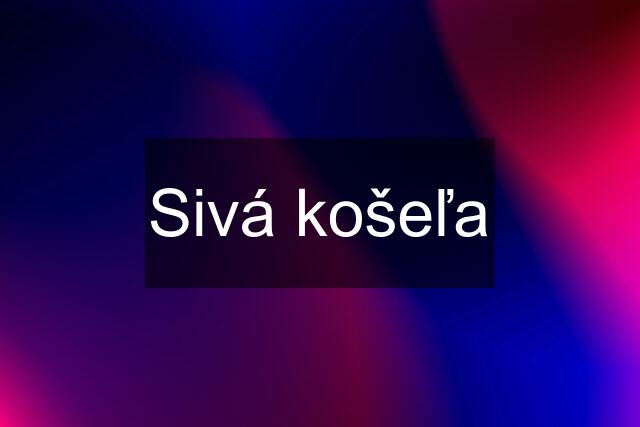 Sivá košeľa