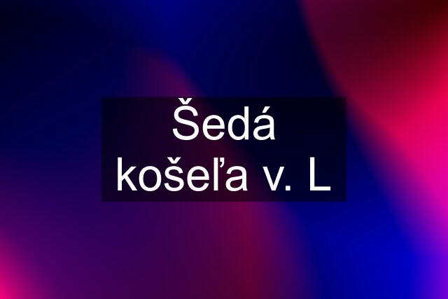 Šedá košeľa v. L