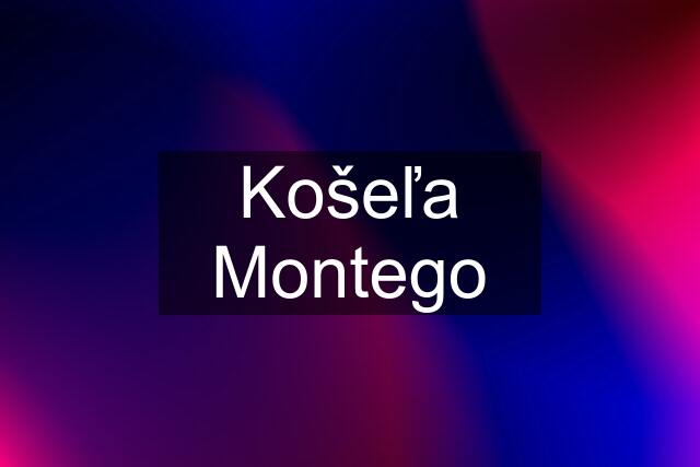 Košeľa Montego