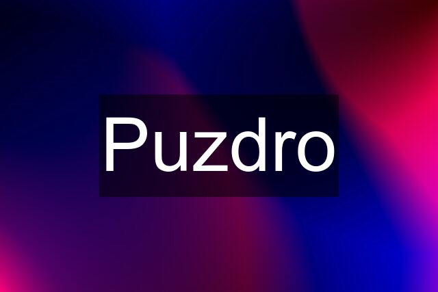 Puzdro