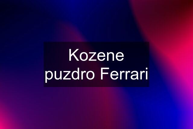 Kozene puzdro Ferrari