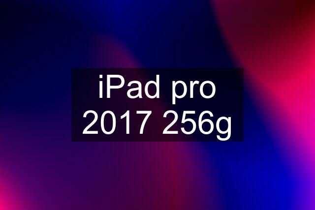 iPad pro 2017 256g