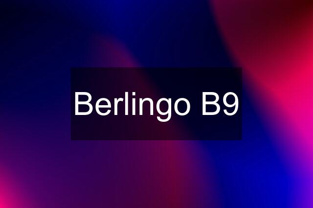 Berlingo B9