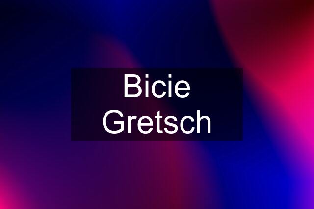 Bicie Gretsch