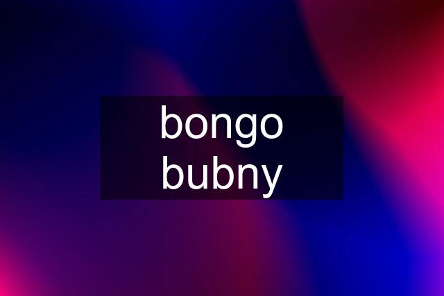 bongo bubny