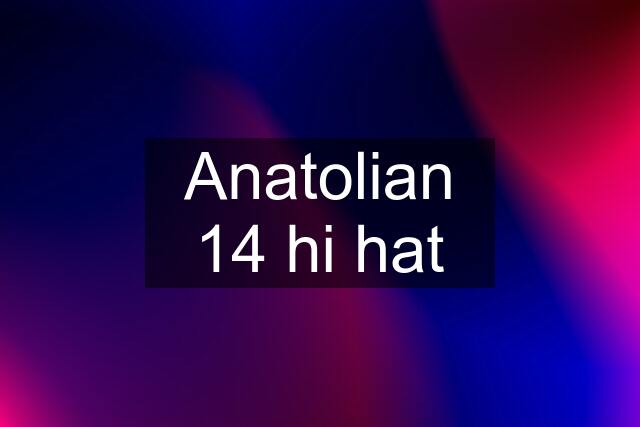 Anatolian 14 hi hat