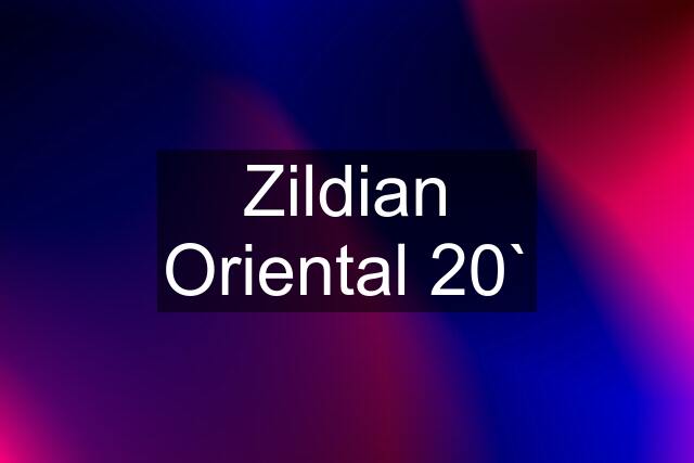 Zildian Oriental 20`