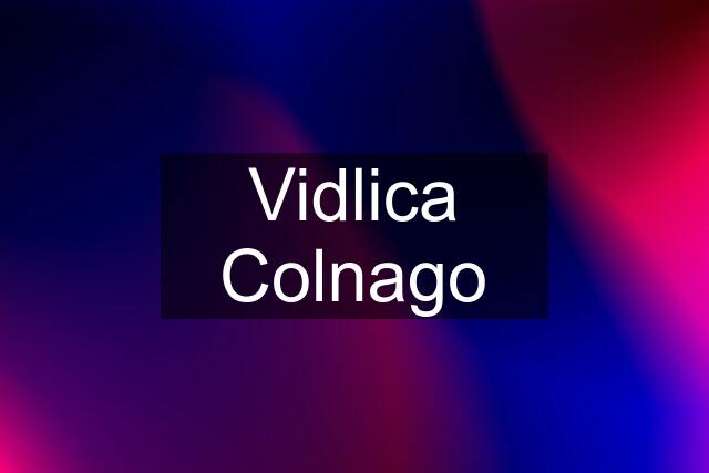 Vidlica Colnago