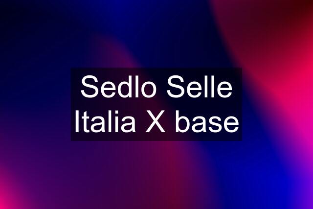 Sedlo Selle Italia X base