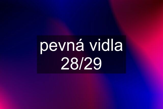 pevná vidla 28/29