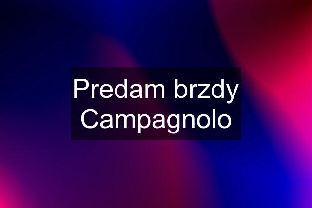 Predam brzdy Campagnolo