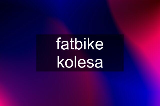 fatbike kolesa