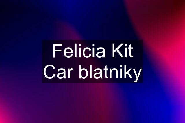 Felicia Kit Car blatniky