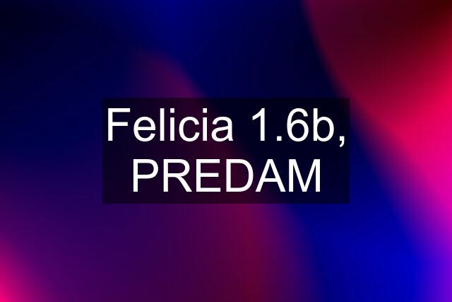 Felicia 1.6b, PREDAM