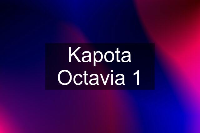 Kapota Octavia 1