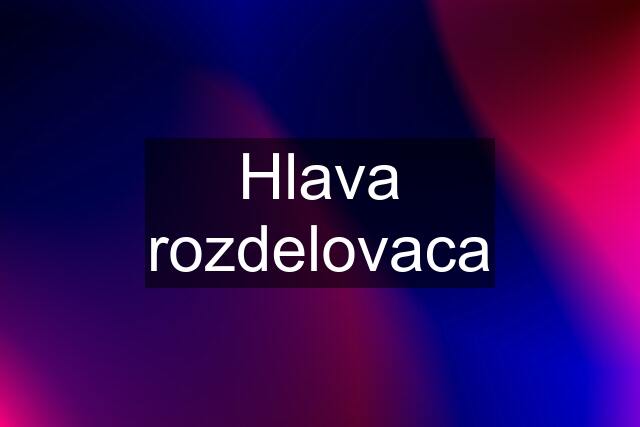 Hlava rozdelovaca