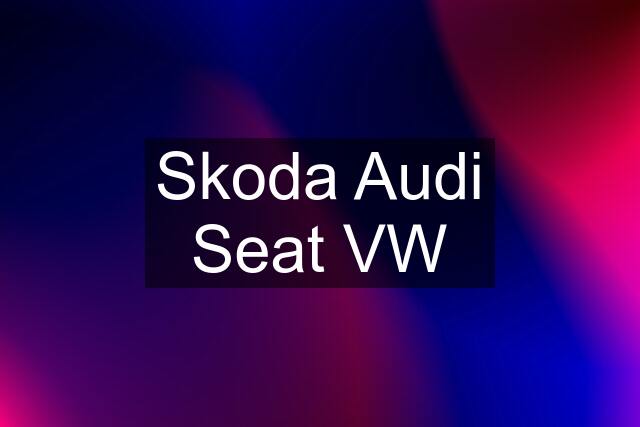 Skoda Audi Seat VW