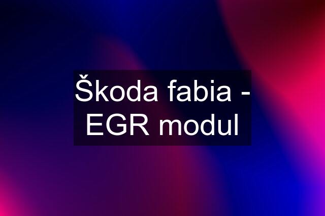 Škoda fabia - EGR modul