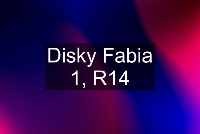 Disky Fabia 1, R14