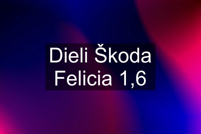 Dieli Škoda Felicia 1,6