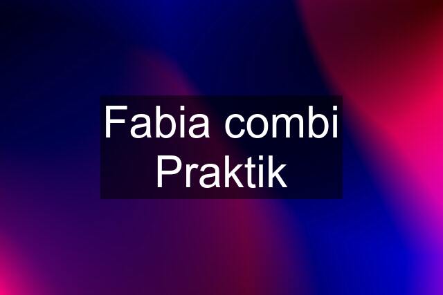 Fabia combi Praktik