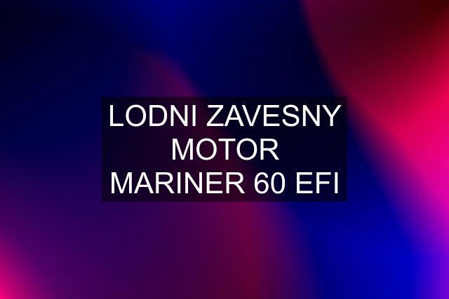 LODNI ZAVESNY MOTOR MARINER 60 EFI