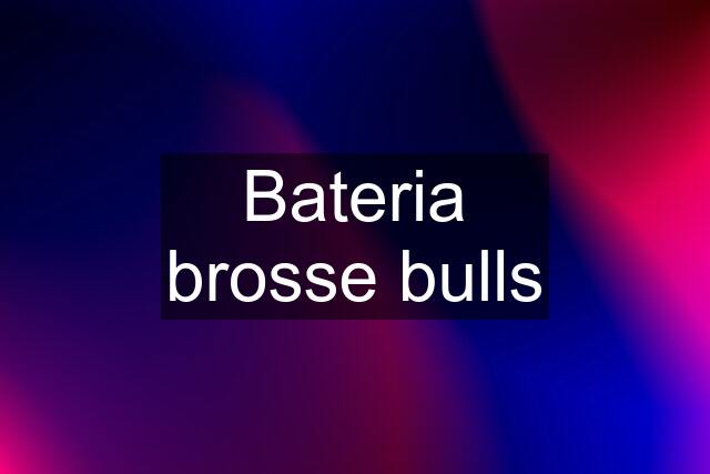 Bateria brosse bulls