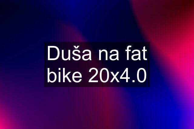 Duša na fat bike 20x4.0