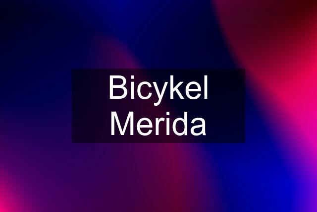Bicykel Merida