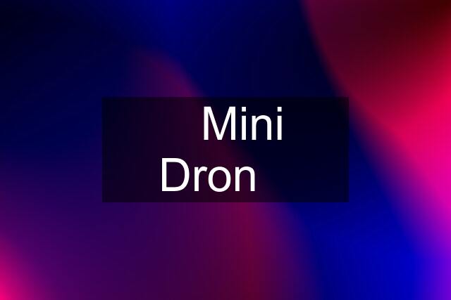 ❗Mini Dron❗