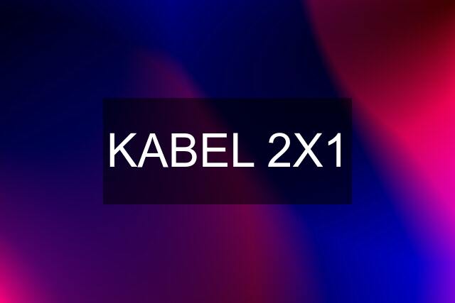 KABEL 2X1