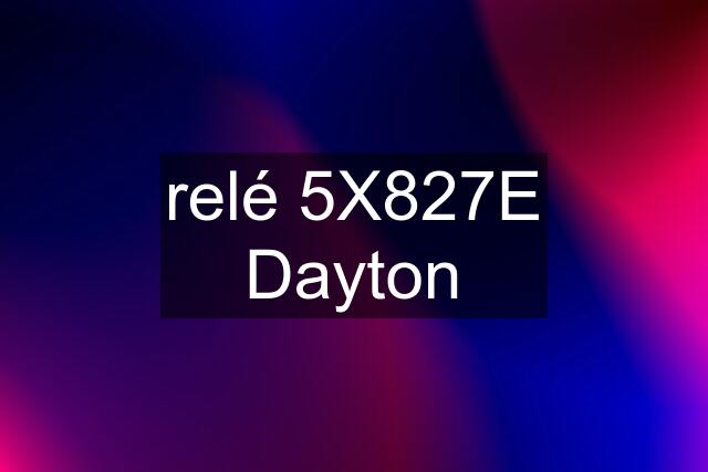 relé 5X827E Dayton