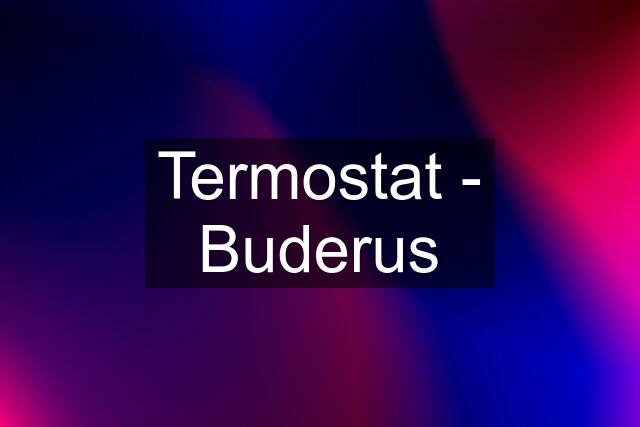 Termostat - Buderus