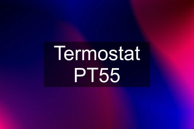 Termostat PT55