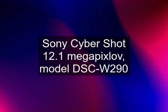 Sony Cyber Shot 12.1 megapixlov, model DSC-W290