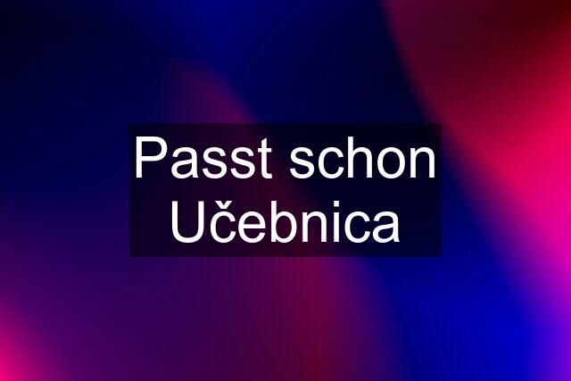 Passt schon Učebnica