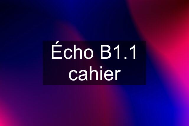 Écho B1.1 cahier