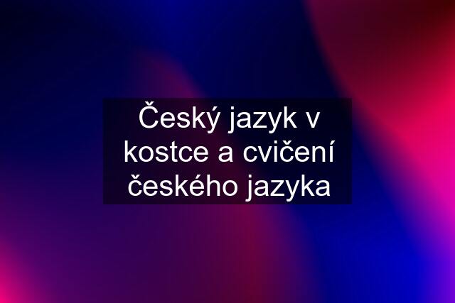 Český jazyk v kostce a cvičení českého jazyka